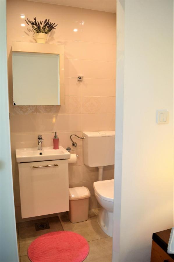 Apartment Marija Vrh  Bagian luar foto